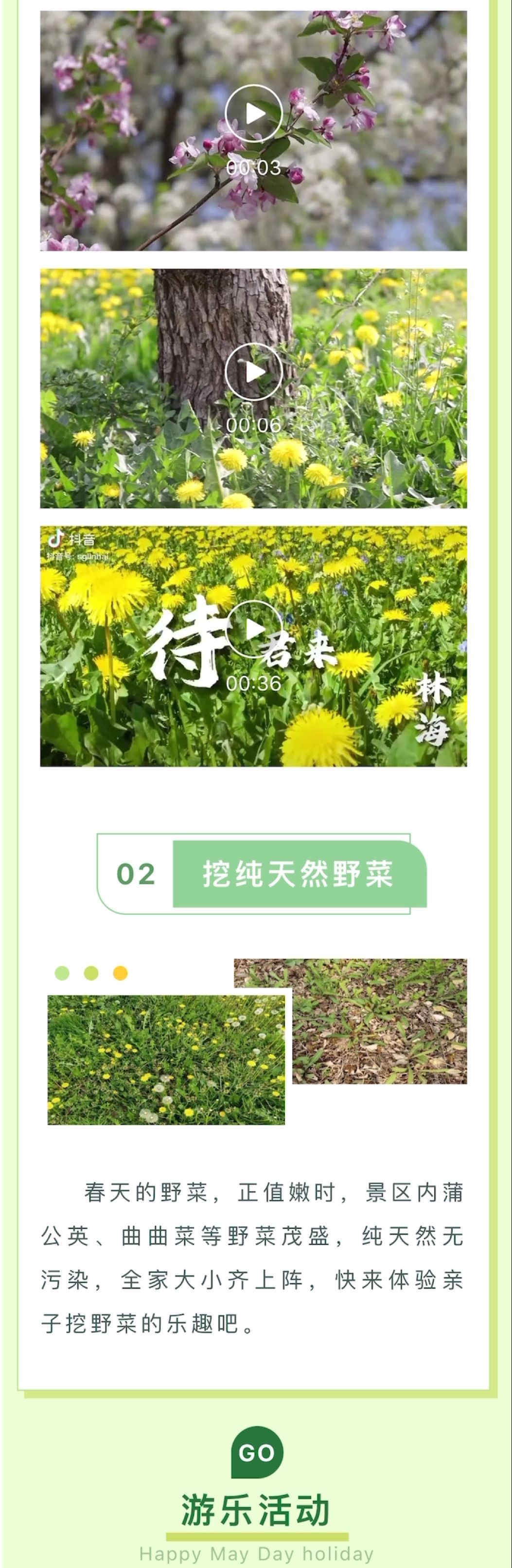 ���ֹ���F66��(�й���)�ٷ���վ