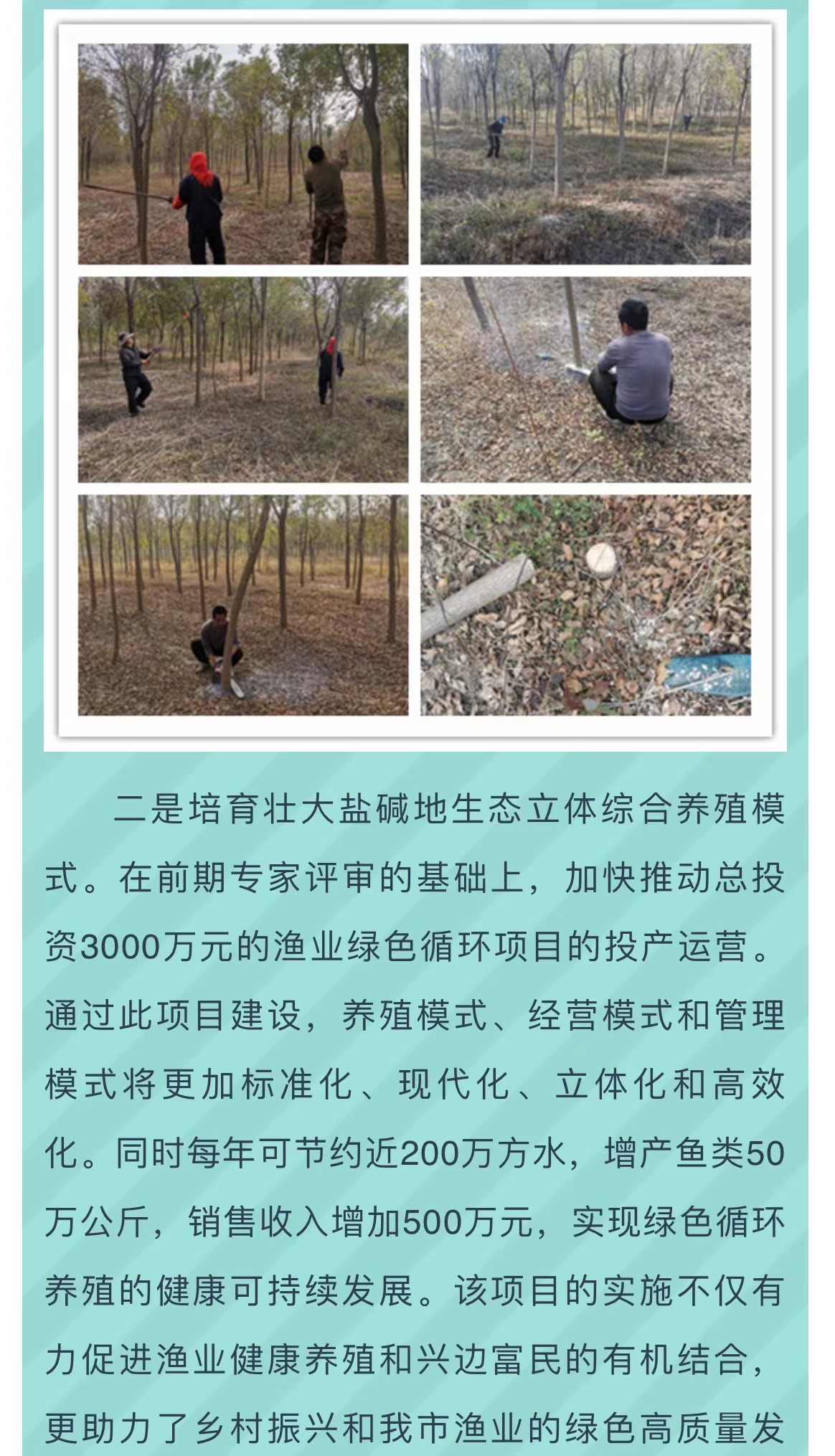 ���ֹ���F66��(�й���)�ٷ���վ