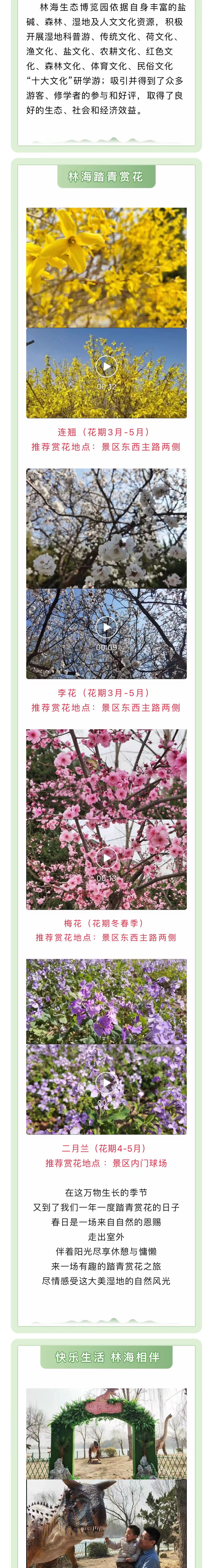 ���ֹ���F66��(�й���)�ٷ���վ