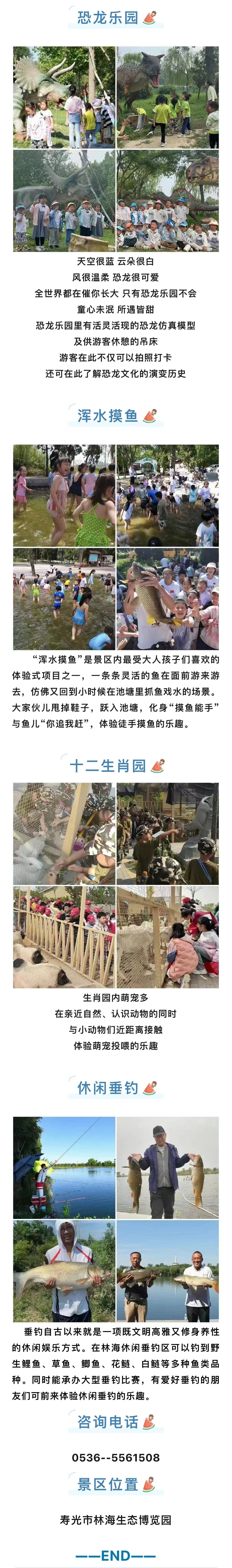 ���ֹ���F66��(�й���)�ٷ���վ