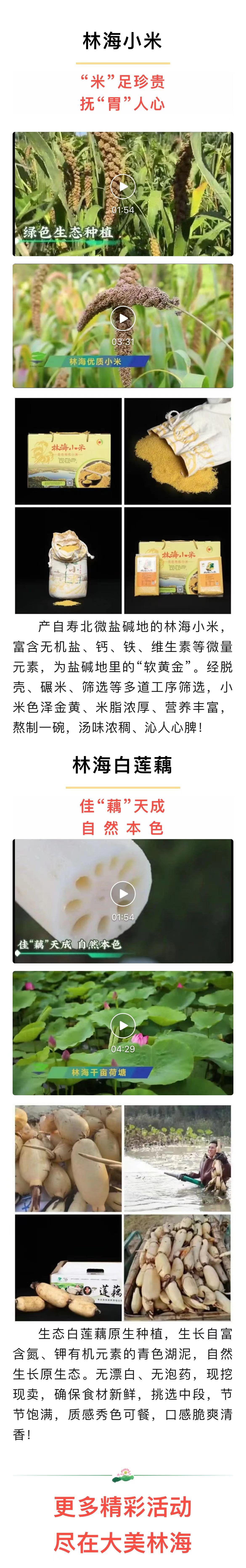 ���ֹ���F66��(�й���)�ٷ���վ