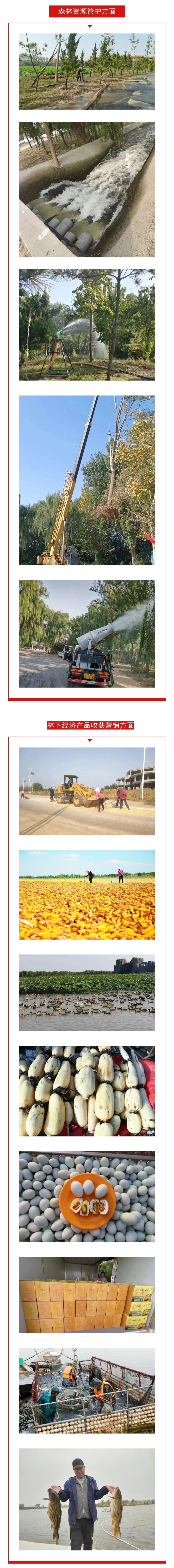 ���ֹ���F66��(�й���)�ٷ���վ