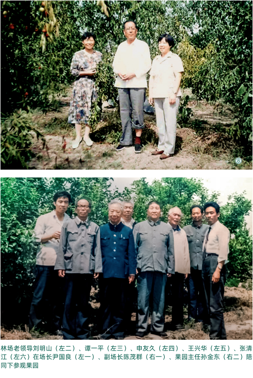 ���ֹ���F66��(�й���)�ٷ���վ