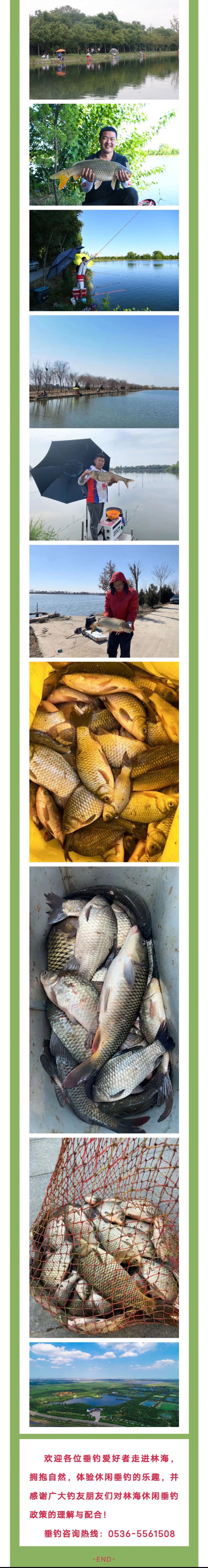 ���ֹ���F66��(�й���)�ٷ���վ