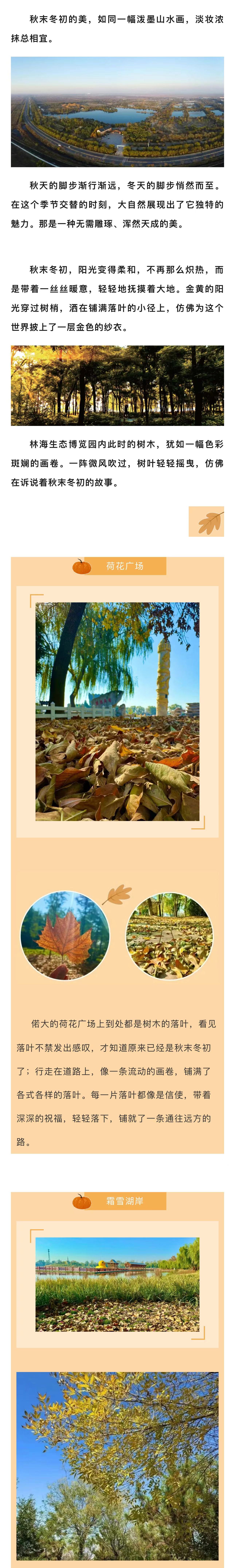 ���ֹ���F66��(�й���)�ٷ���վ