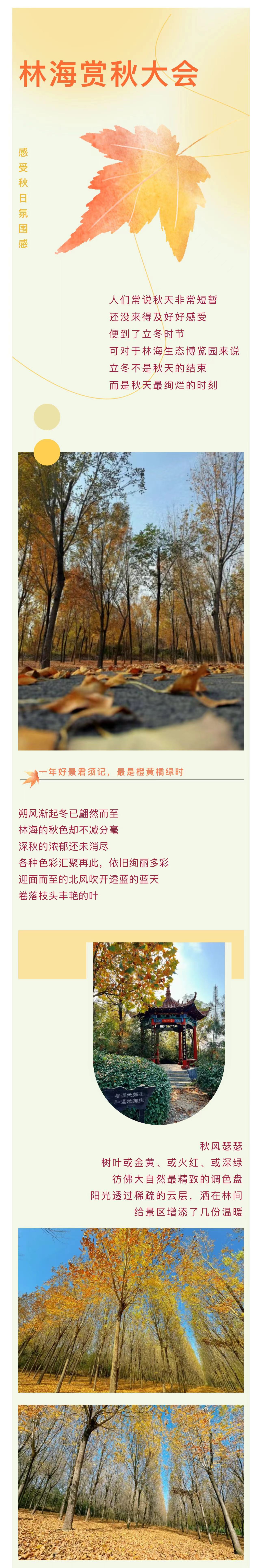 ���ֹ���F66��(�й���)�ٷ���վ