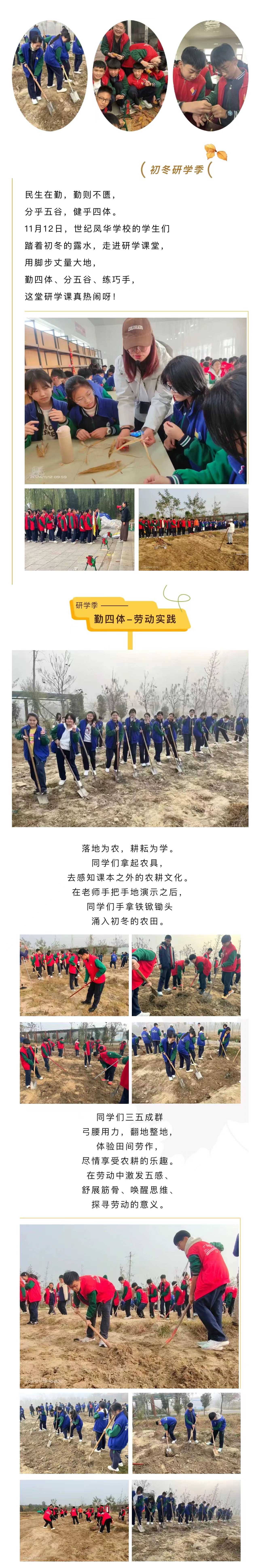 ���ֹ���F66��(�й���)�ٷ���վ