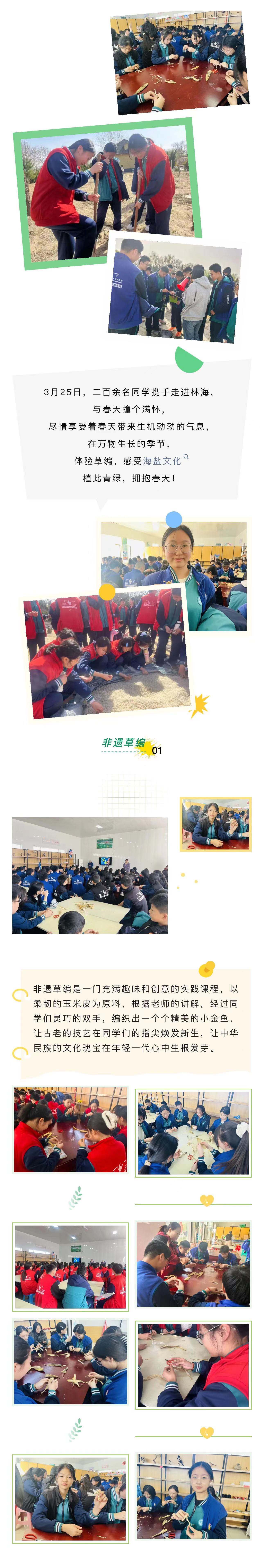 ���ֹ���F66��(�й���)�ٷ���վ