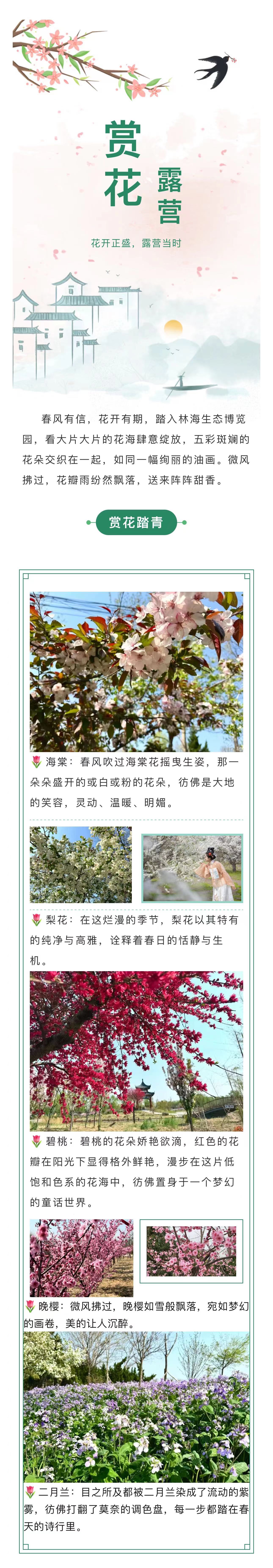 ���ֹ���F66��(�й���)�ٷ���վ