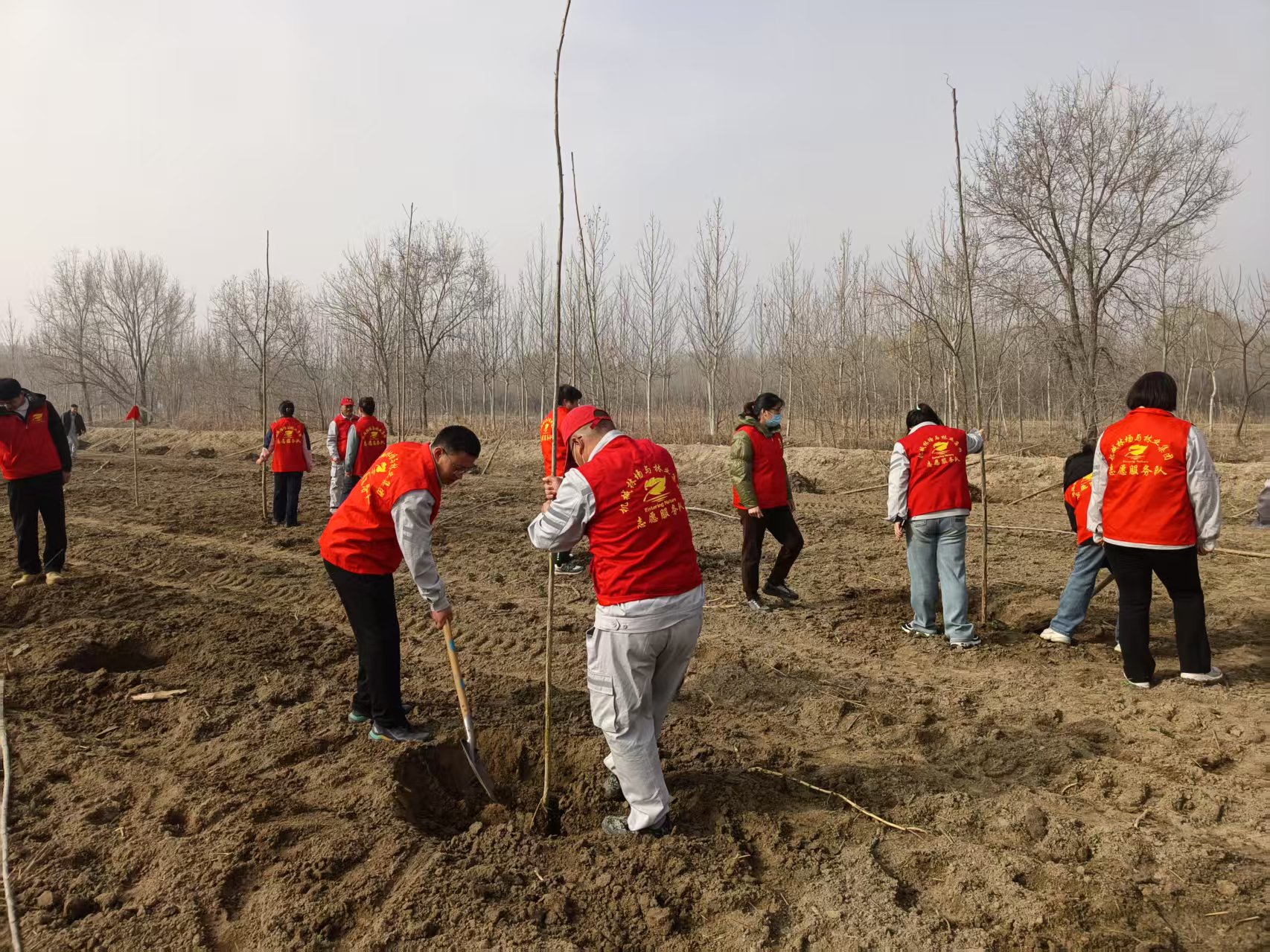 ���ֹ���F66��(�й���)�ٷ���վ