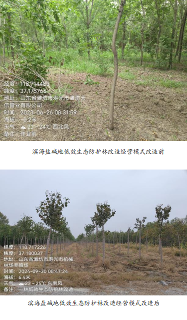 永乐国际F66·(中国游)官方网站