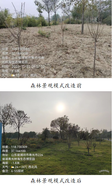 ���ֹ���F66��(�й���)�ٷ���վ