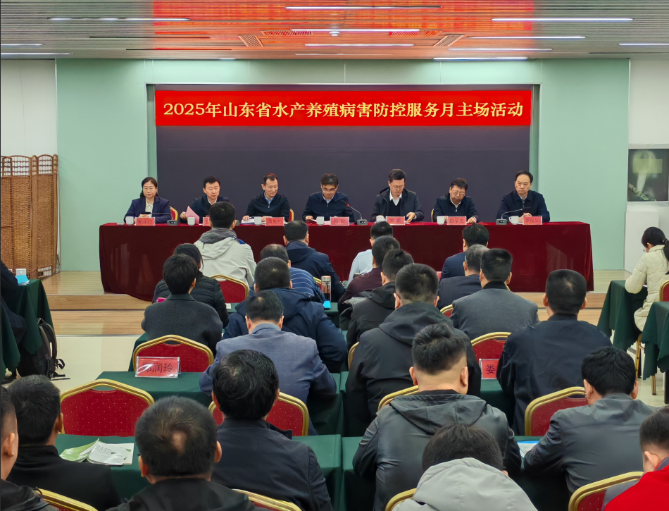 ���ֹ���F66��(�й���)�ٷ���վ