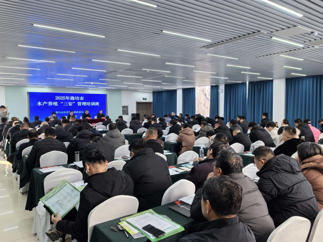 ���ֹ���F66��(�й���)�ٷ���վ